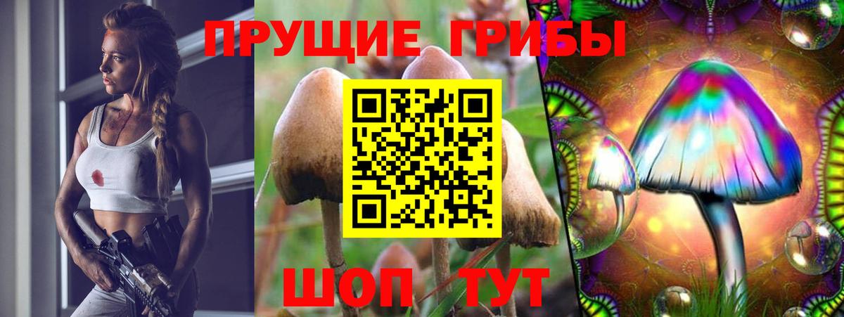 Псилоцибиновые грибы Psilocybine cubensis  Вход с VPN  Дубна 